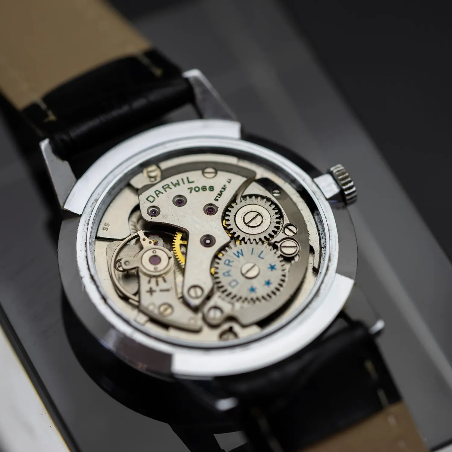 Darwil Special Flat Lux 66 – movement close-up