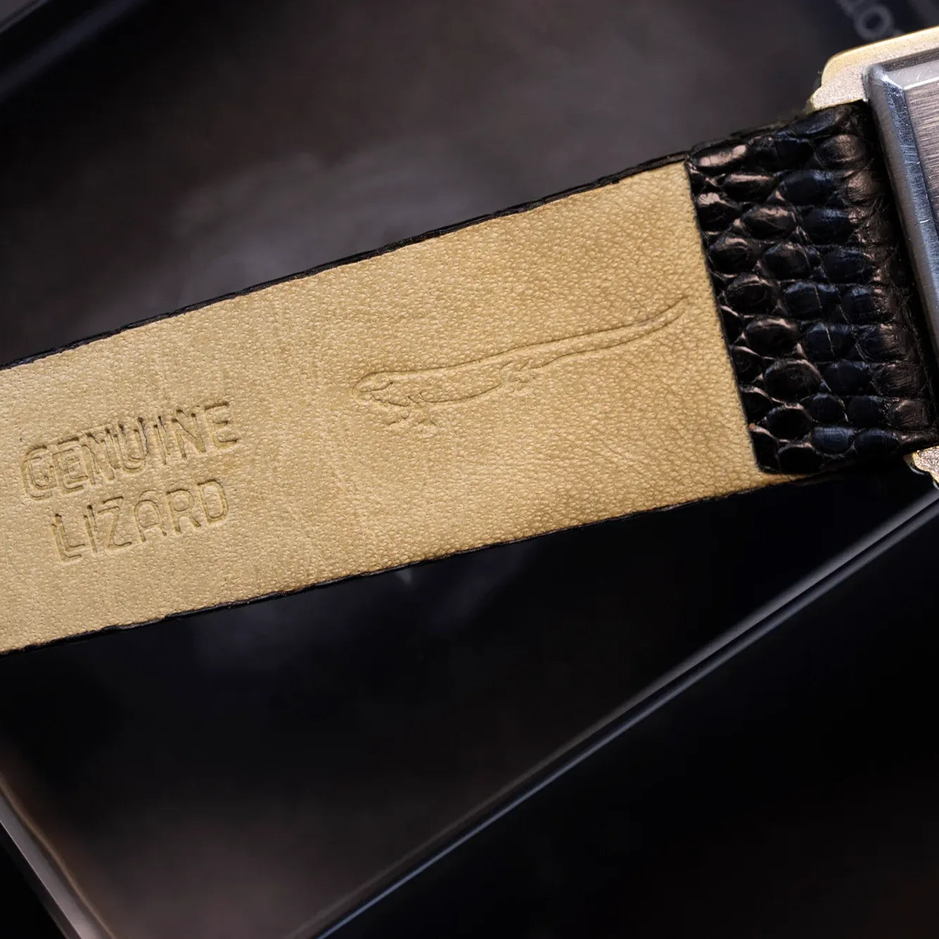 Eterna Vision – side view
