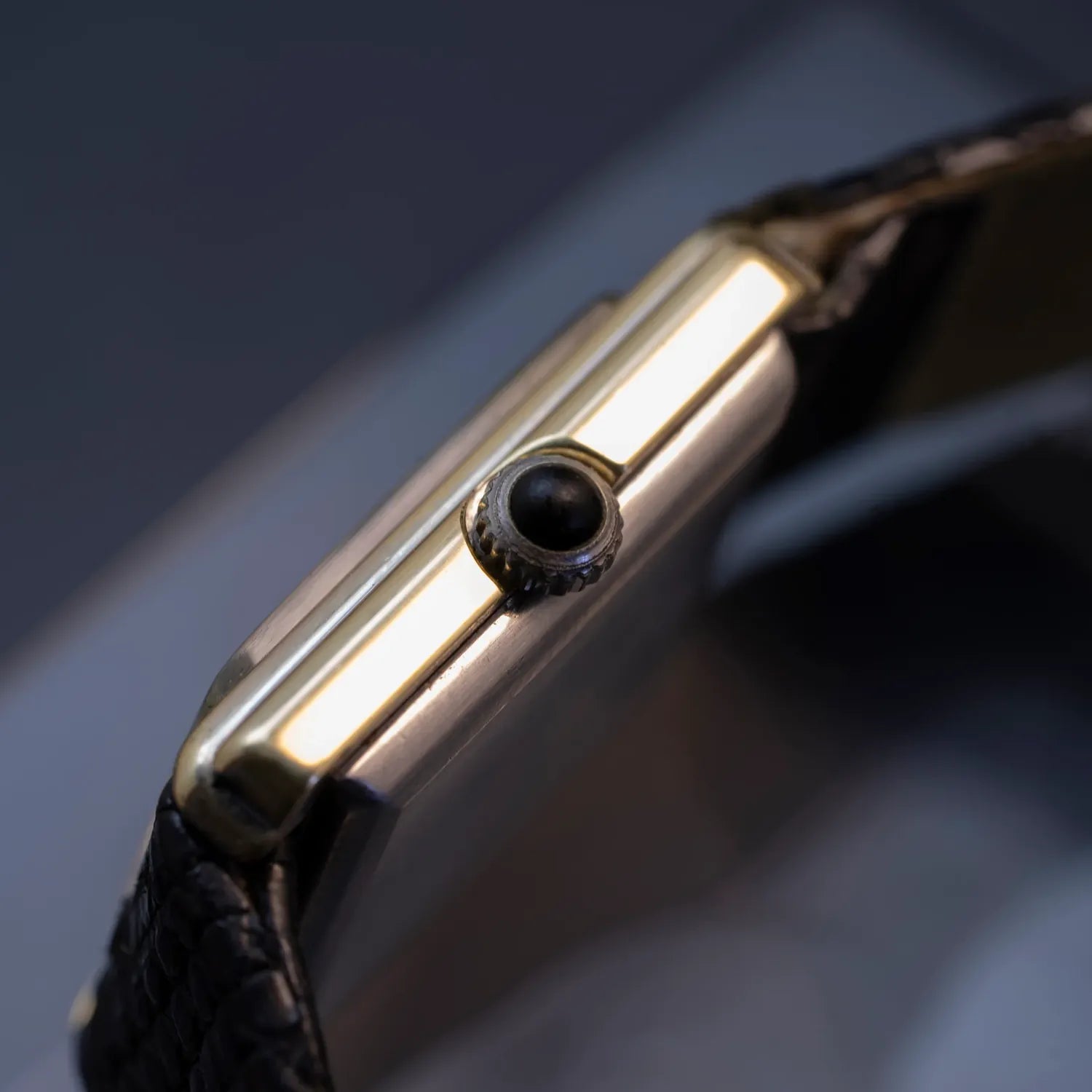 Eterna Vision – movement close-up