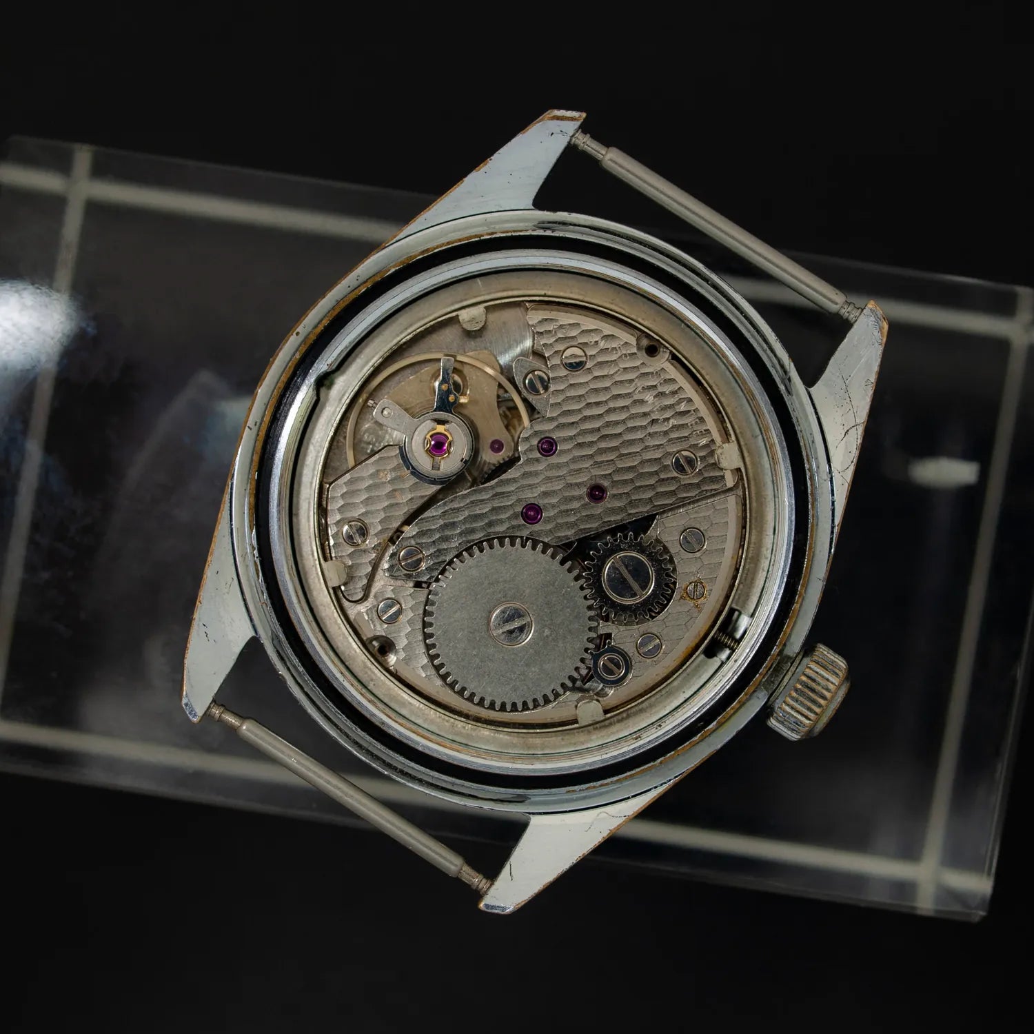 Mirexal Diver – movement close-up
